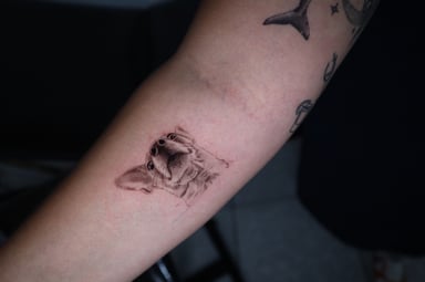TattooGigs tattoo from Dominika B tattoo artist ( style)