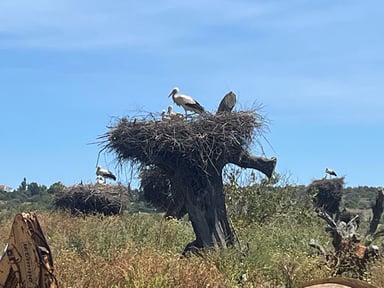 TattooGigs tattoo from buck k tattoo artist ( style)