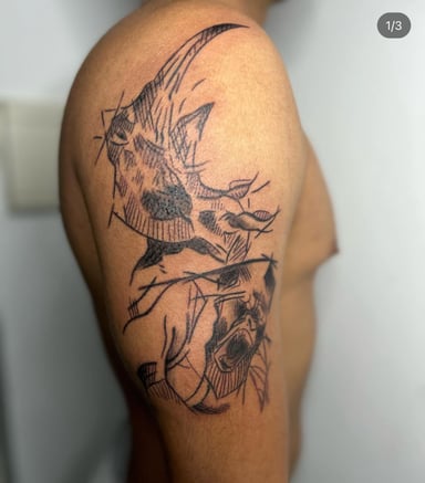 TattooGigs tattoo from Evina B tattoo artist (Sketch, Continuous line style)