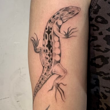 TattooGigs tattoo from Nere T tattoo artist (Blackwork, Dotwork, Illustrative, Fine-line style)