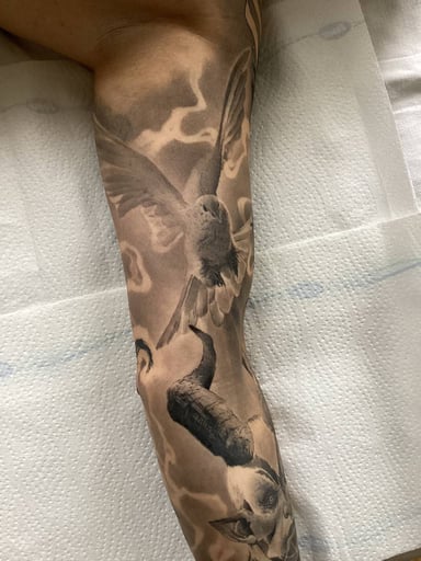 TattooGigs tattoo from Vlad N tattoo artist (Realism style)