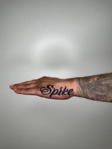 TattooGigs tattoo from Zeno V tattoo artist ( style)