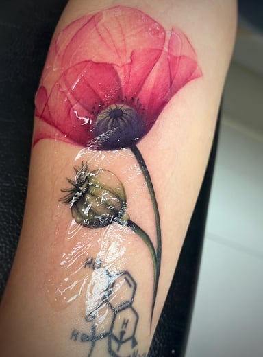 TattooGigs tattoo from Natalia C tattoo artist ( style)