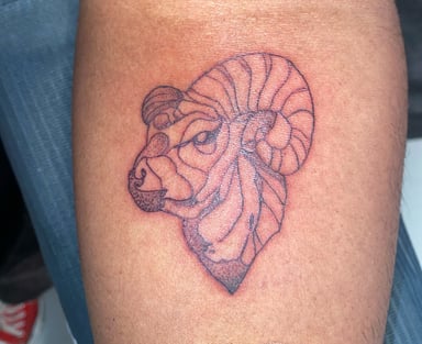 TattooGigs tattoo from Nikkari W tattoo artist ( style)