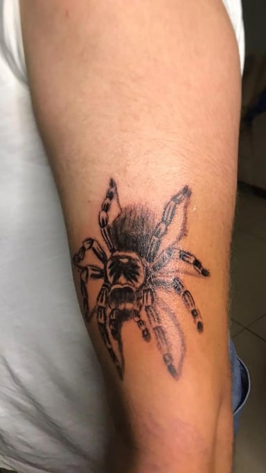 TattooGigs tattoo from Murat Can Y tattoo artist ( style)
