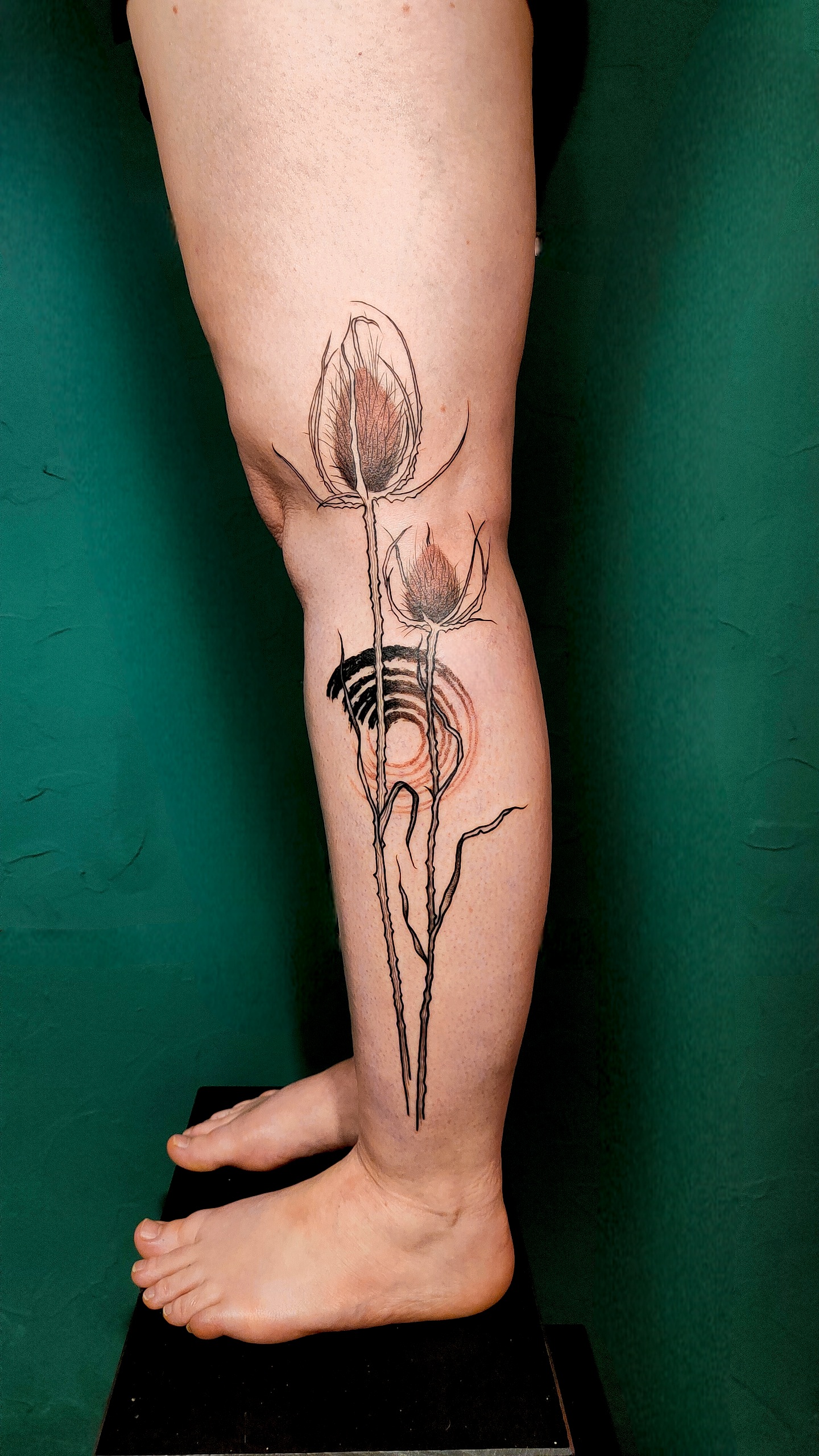 Agata Ziaja portfolio work 3