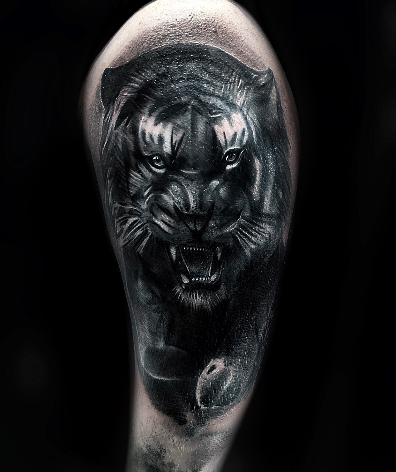 Damian DaSilva portfolio work 2