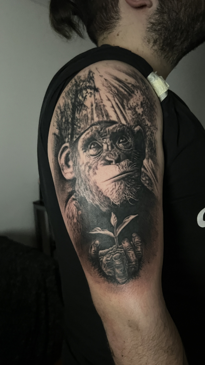 George  Donis portfolio work 1
