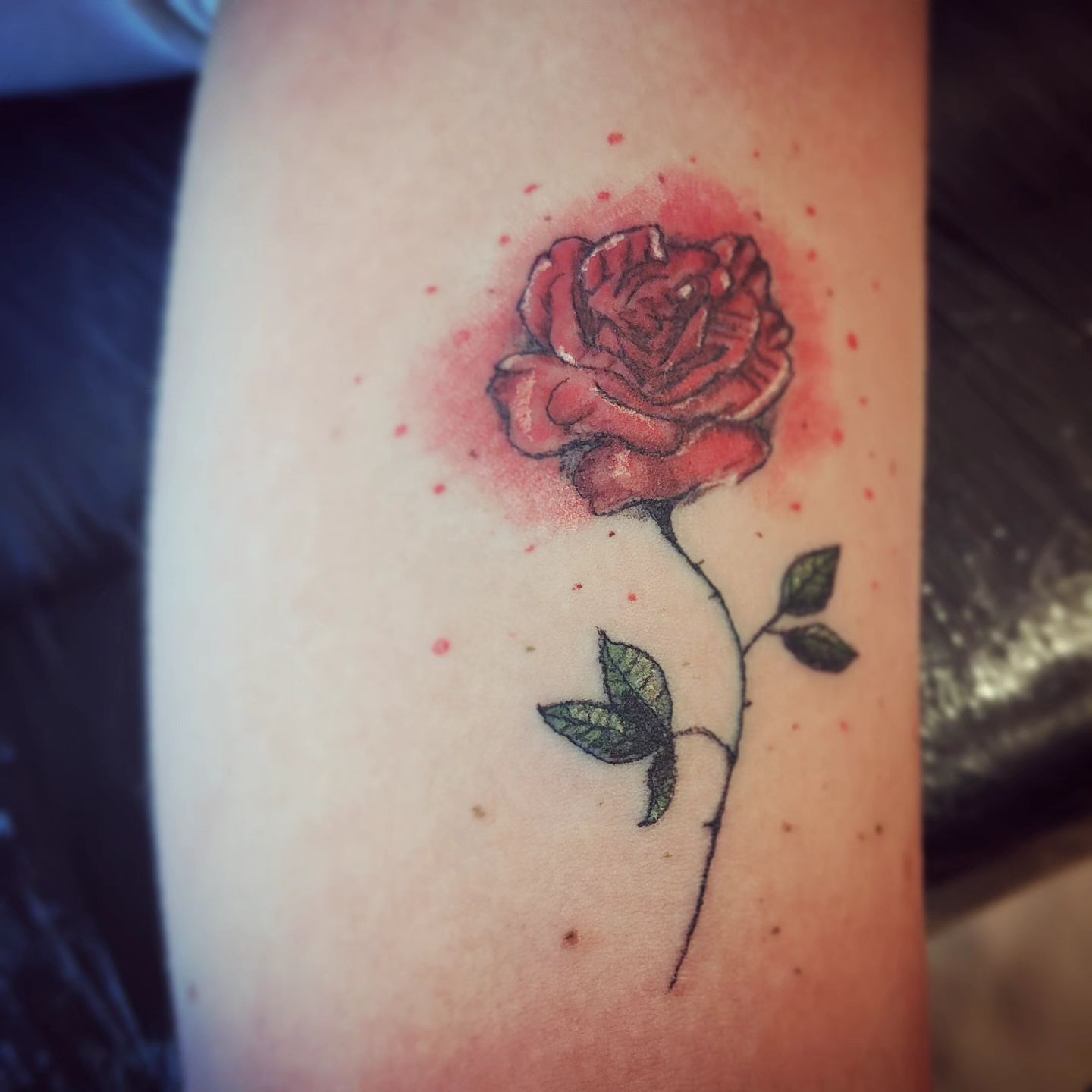 Joke Rommelaere portfolio work 2