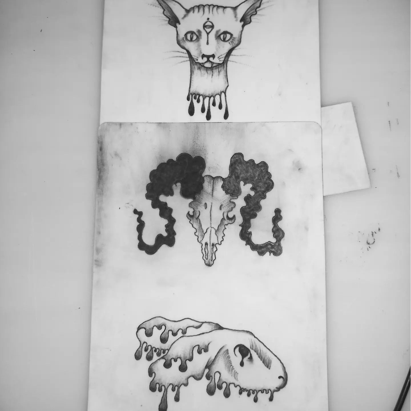 Katja Vajserman portfolio work 1