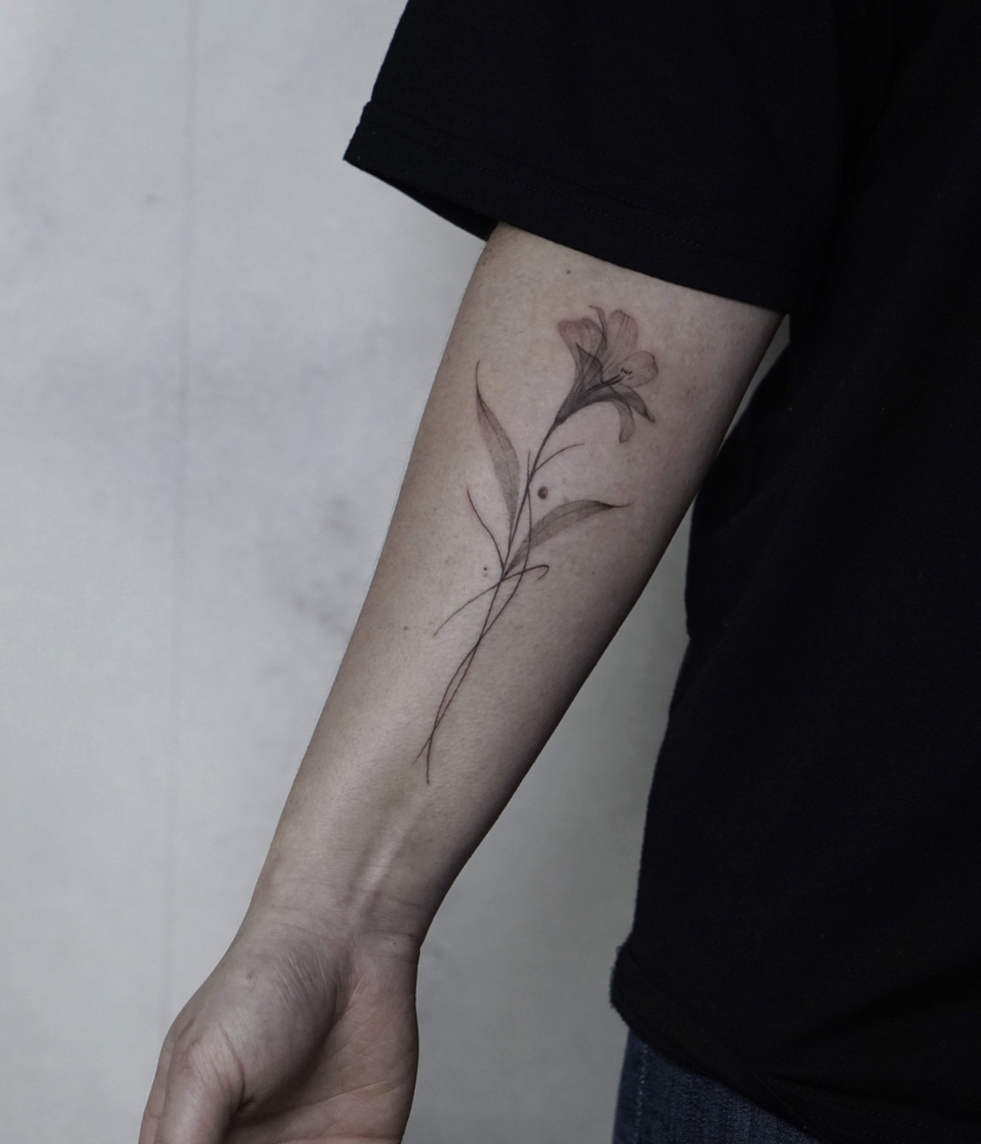 Dominika Girtler portfolio work 2
