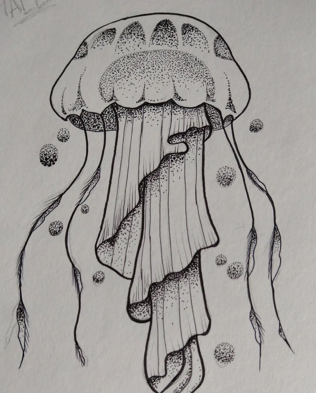 Lily Bakken portfolio work 2