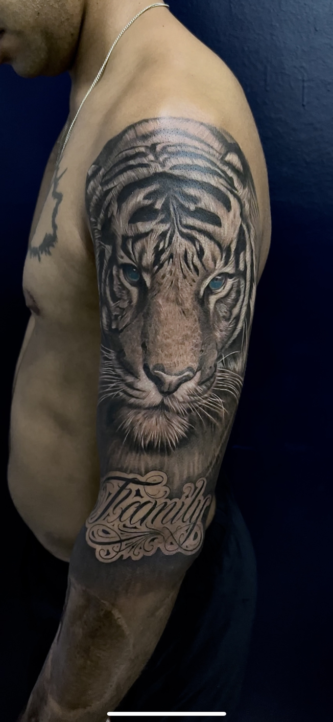 Vladimir Carnalna portfolio work 3