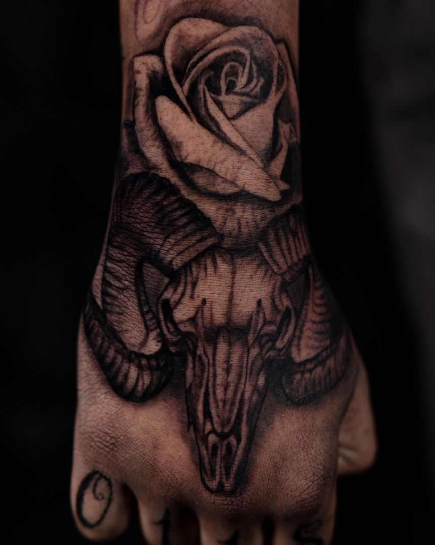 Cesar Garcia portfolio work 3