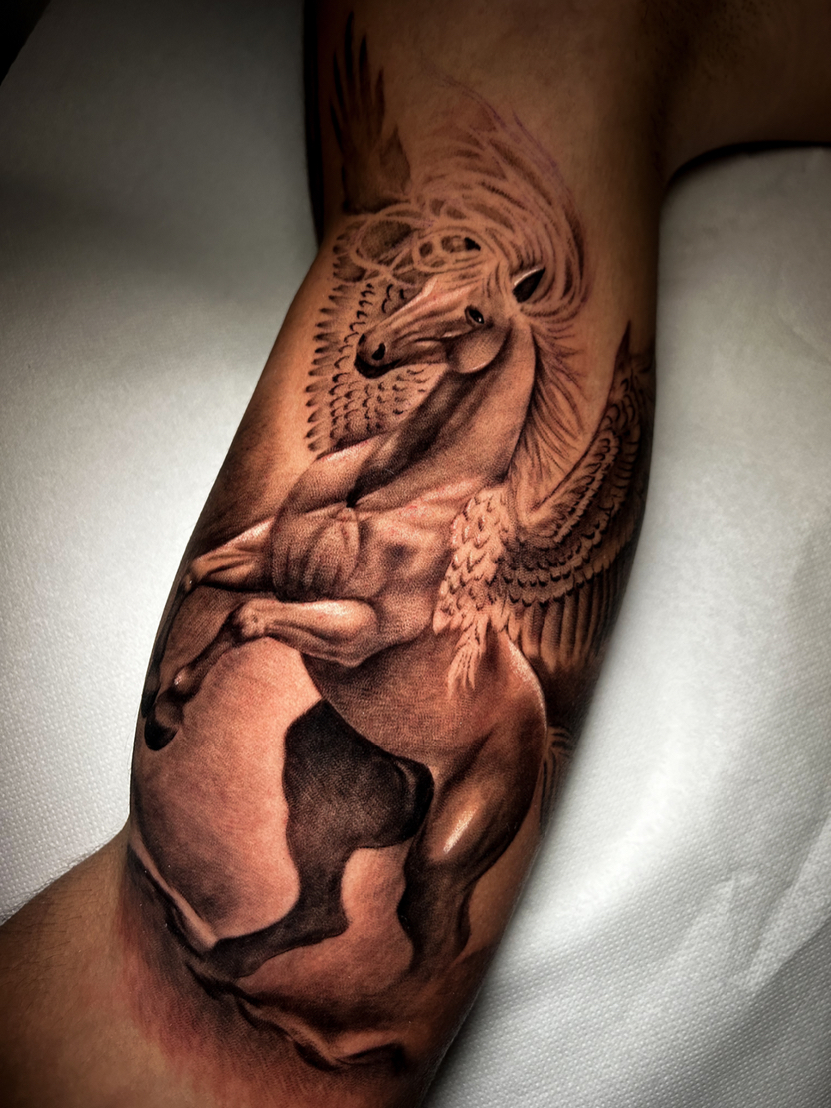 Silvia Zane portfolio work 6