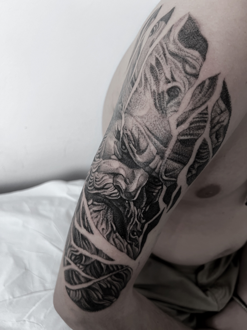 Soriris Sotopoulos portfolio work 5