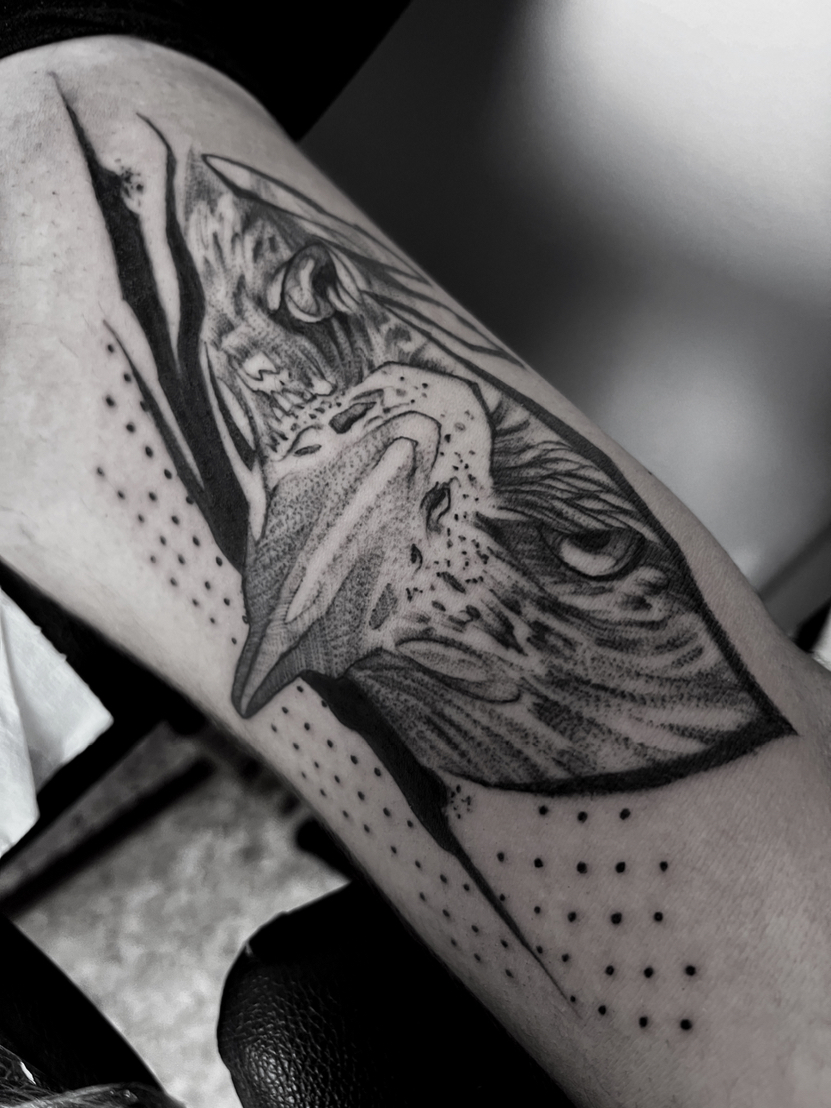 Soriris Sotopoulos portfolio work 6