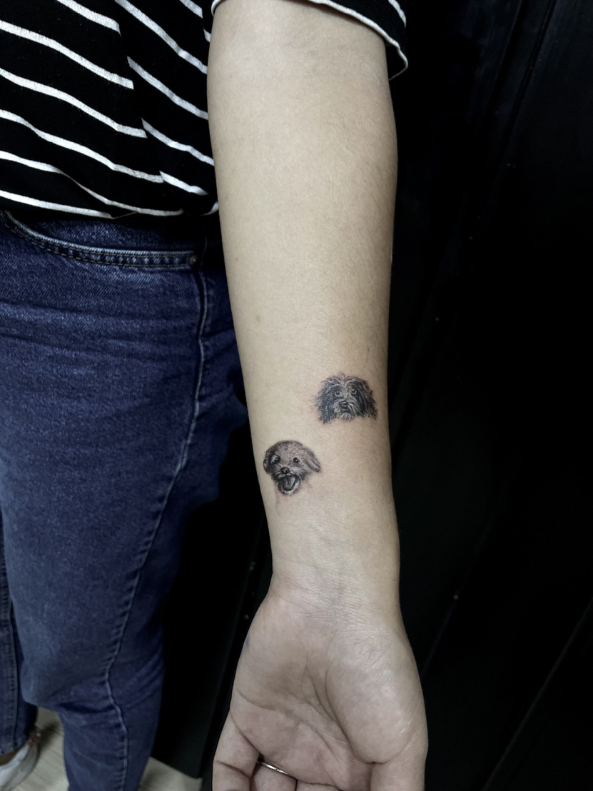 Sinan Konuksevenler portfolio work 6