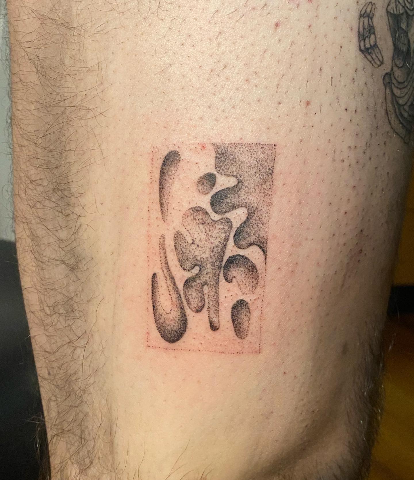 Javier Frias portfolio work 5