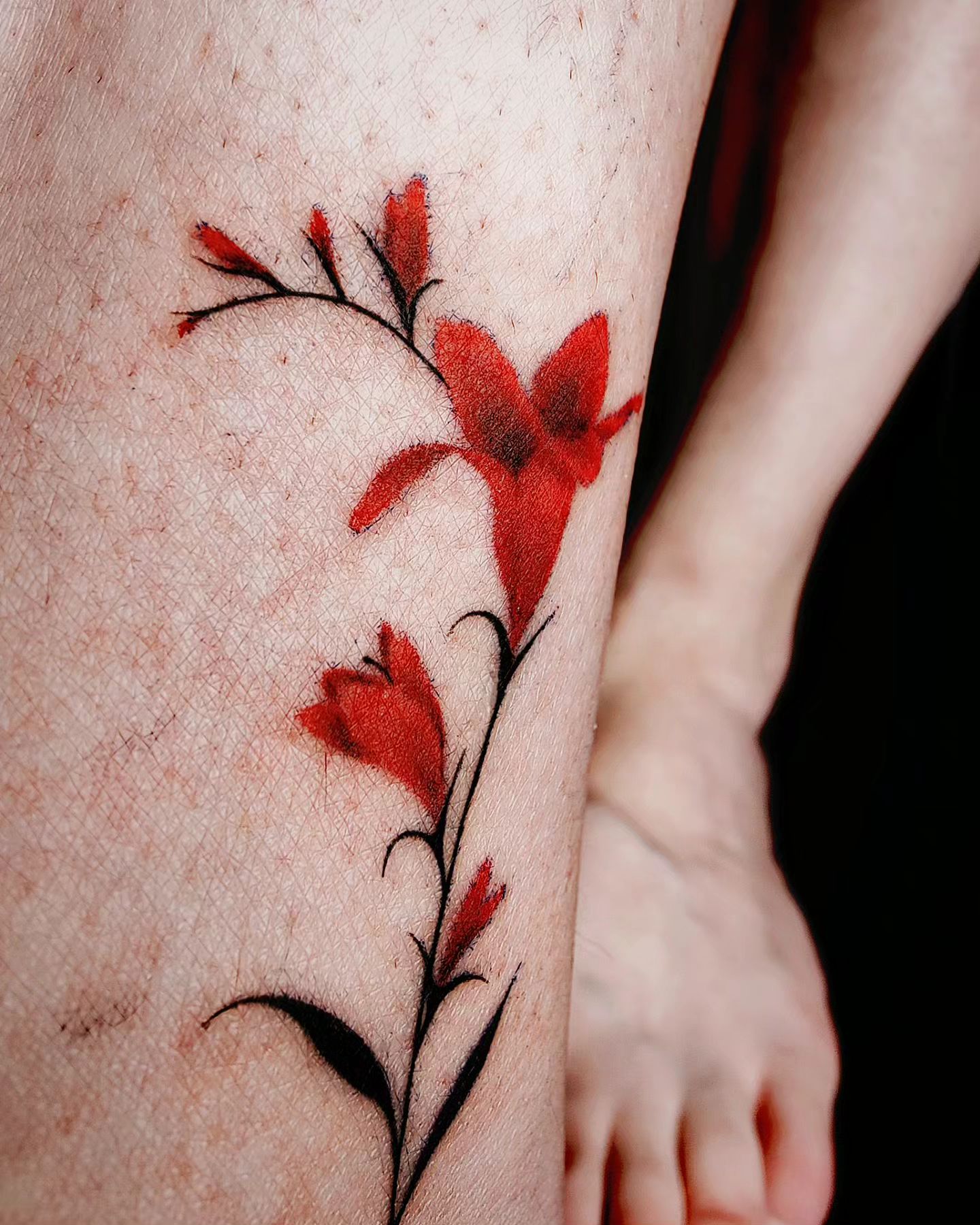 Mademoiselle  Rouge  portfolio work 3