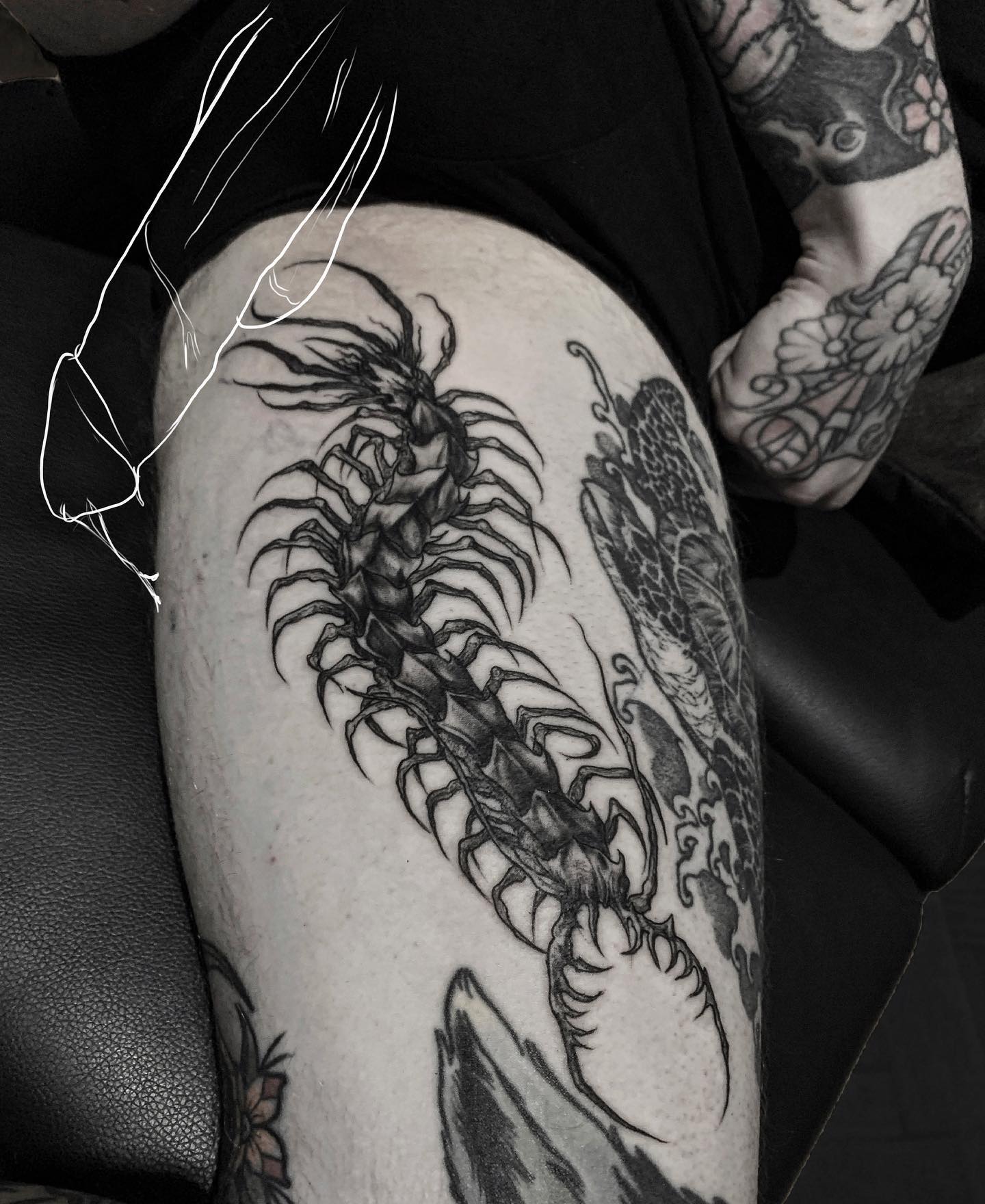 Levente Nemeth portfolio work 6