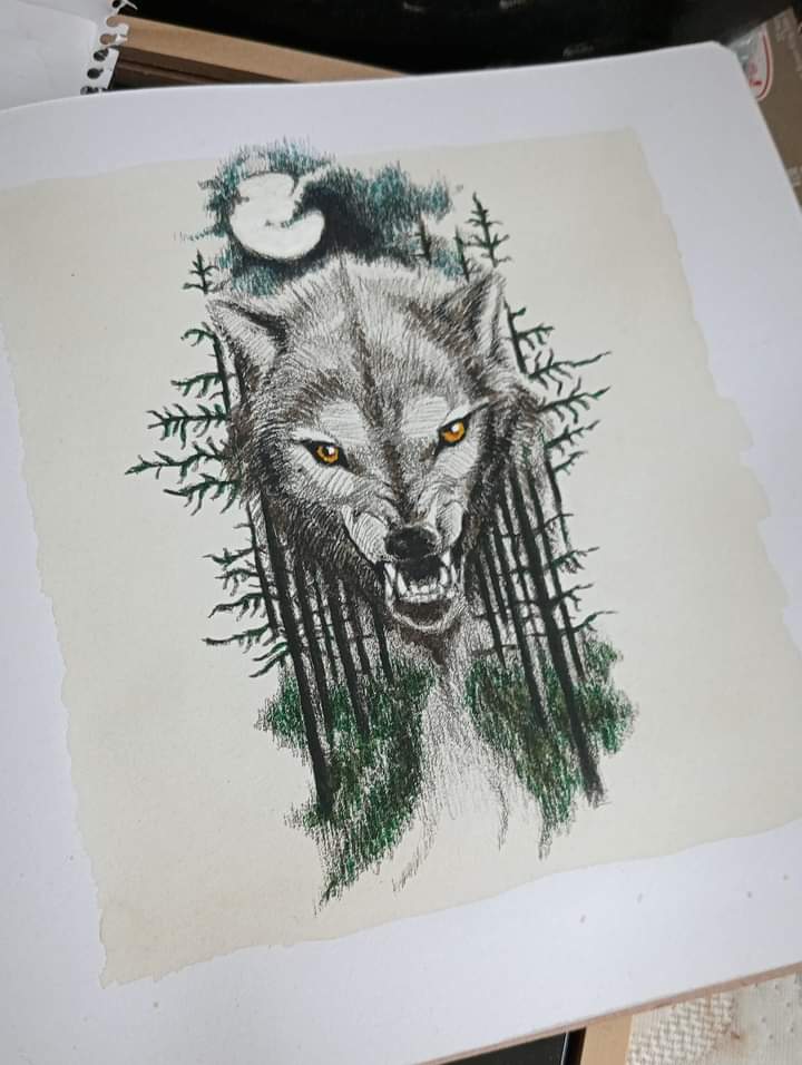 Alexander  Popa portfolio work 3
