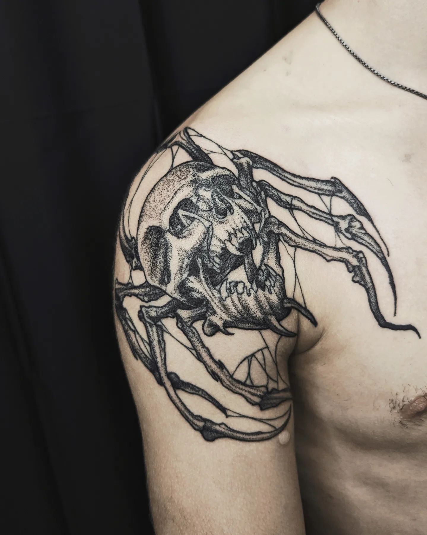 Mario  Diano portfolio work 3