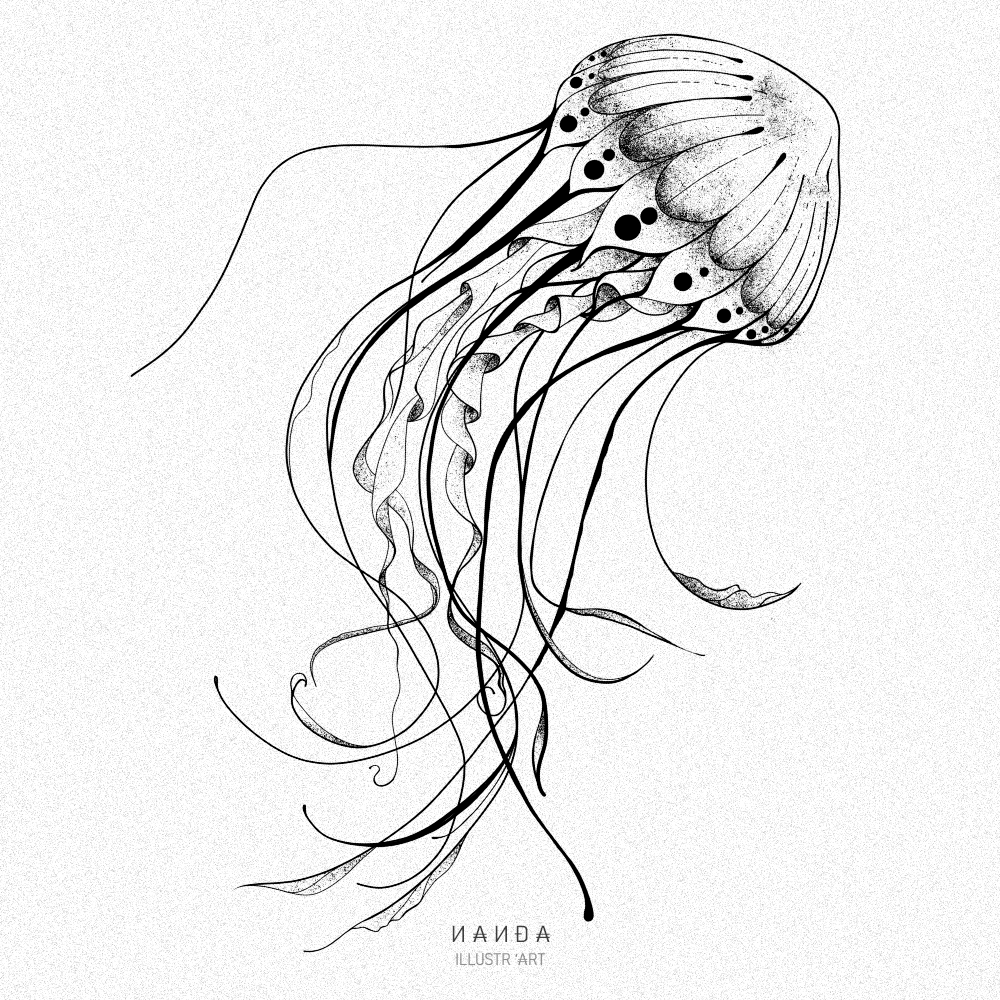 Nanda Vandalist portfolio work 1