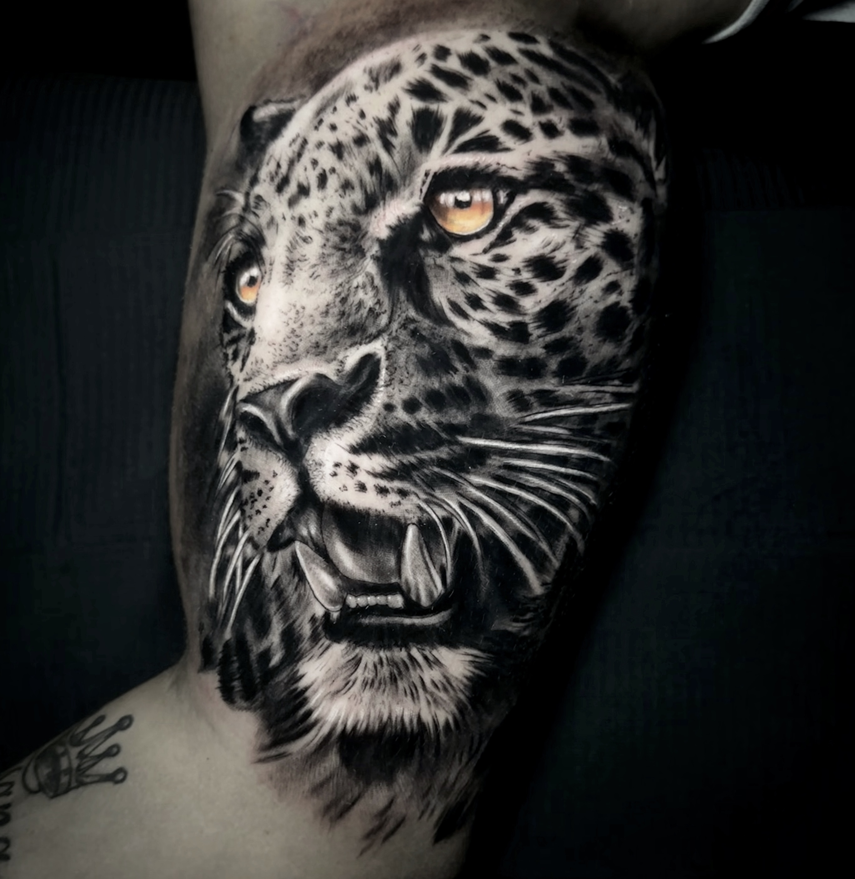 johan muñoz portfolio work 3