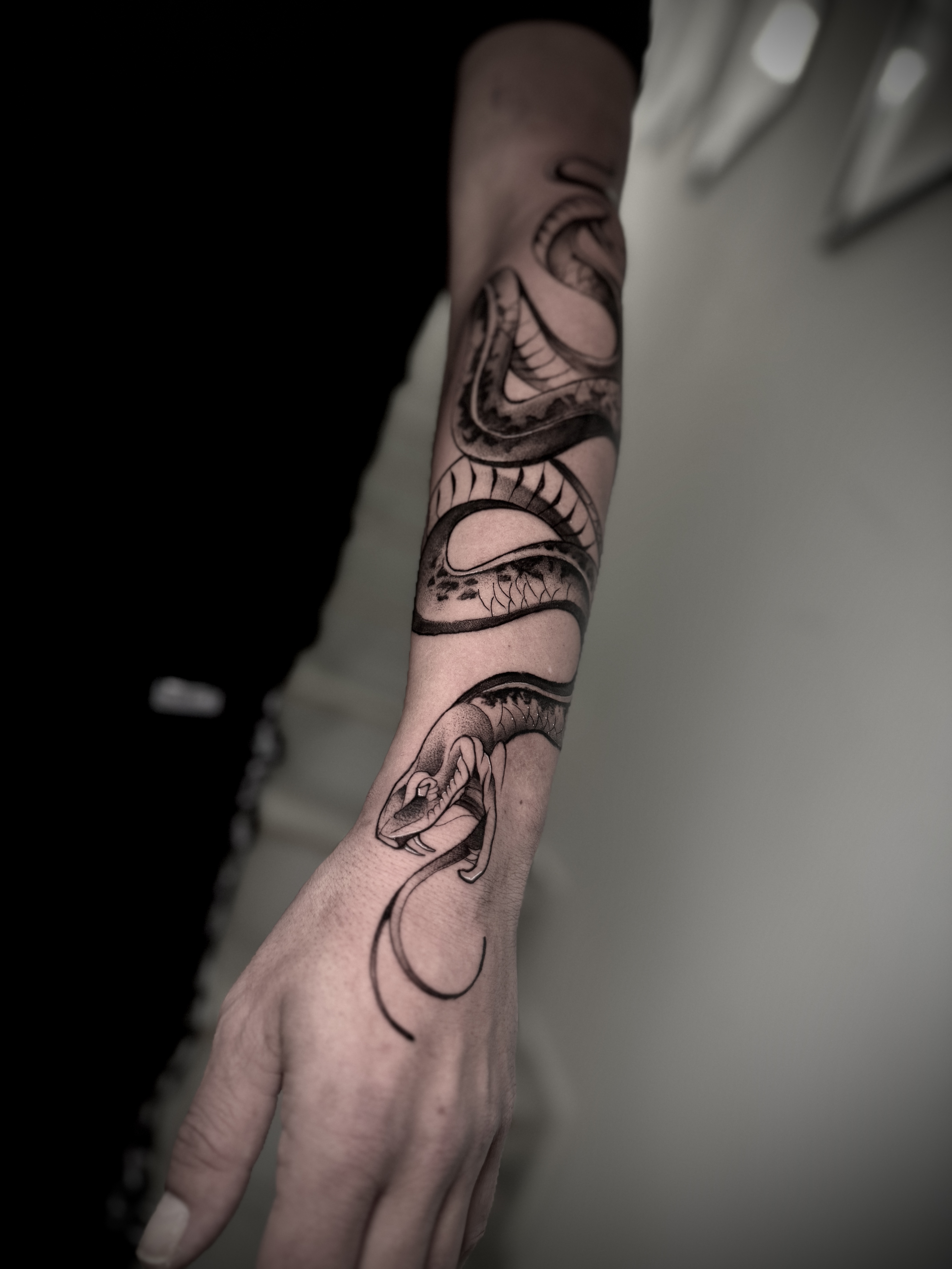 Mario Pavlov portfolio work 1