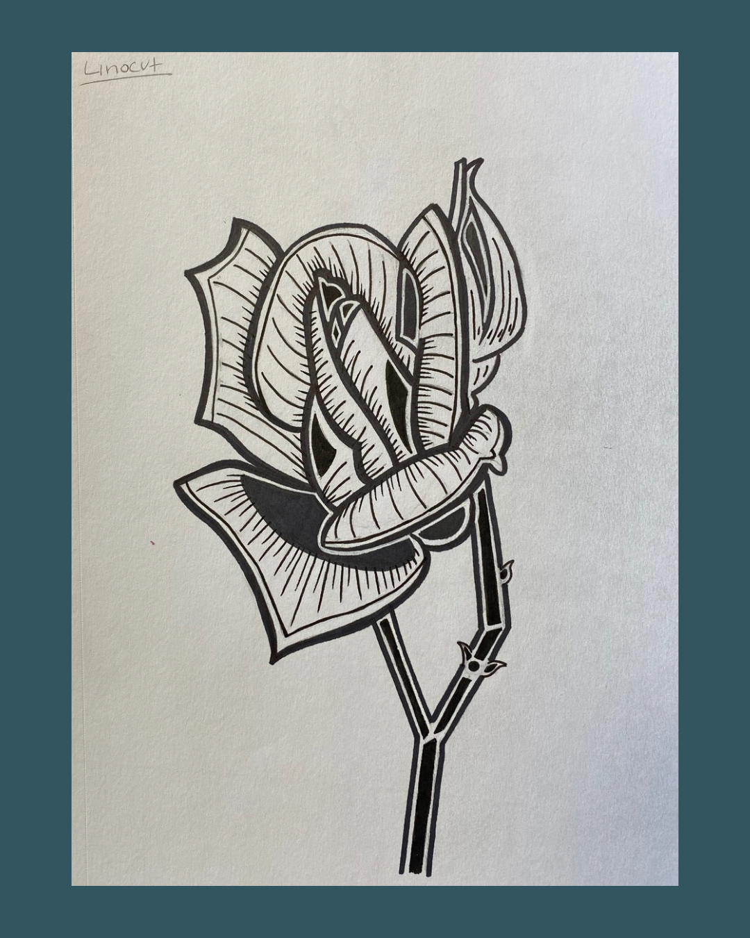 portfolio work 4
