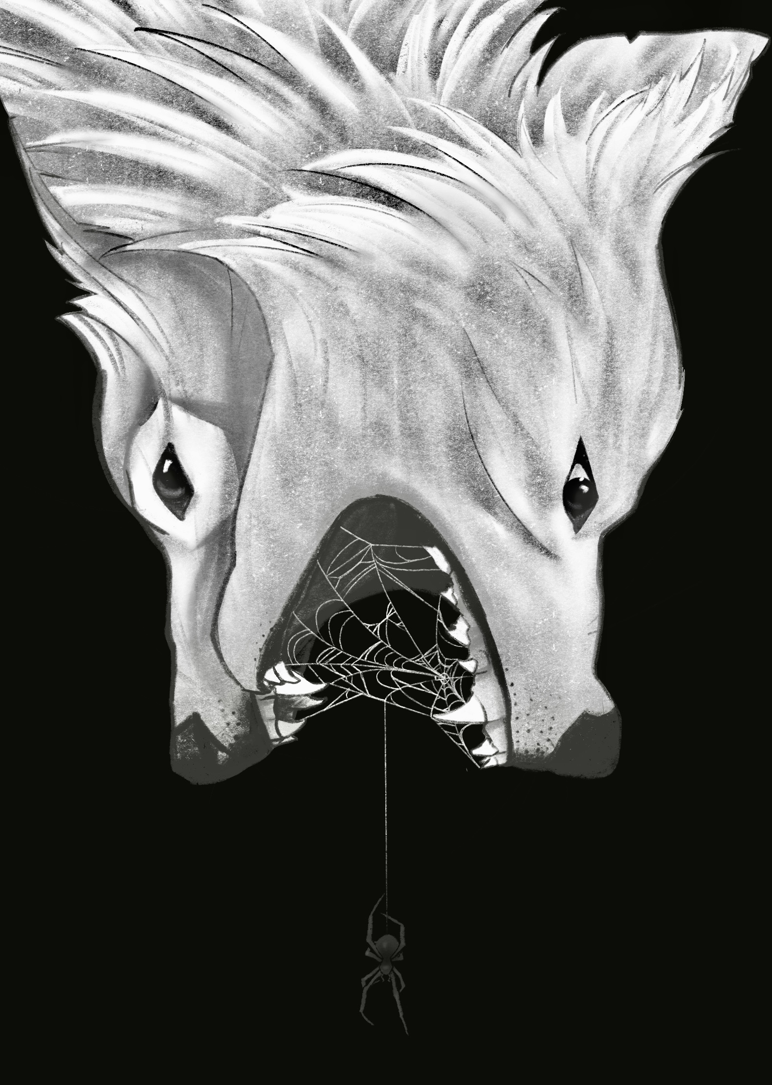  portfolio work 1