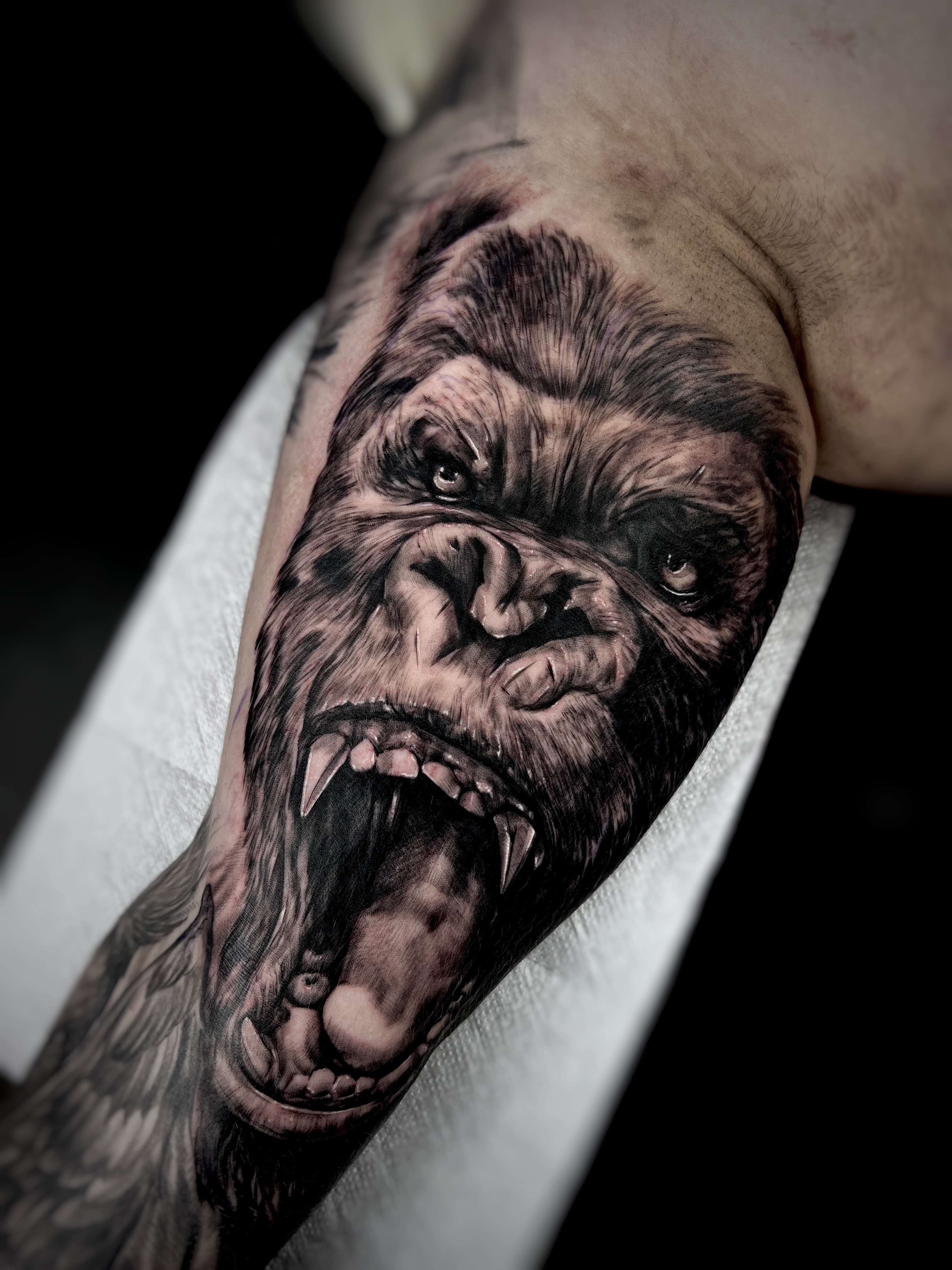  portfolio work 2