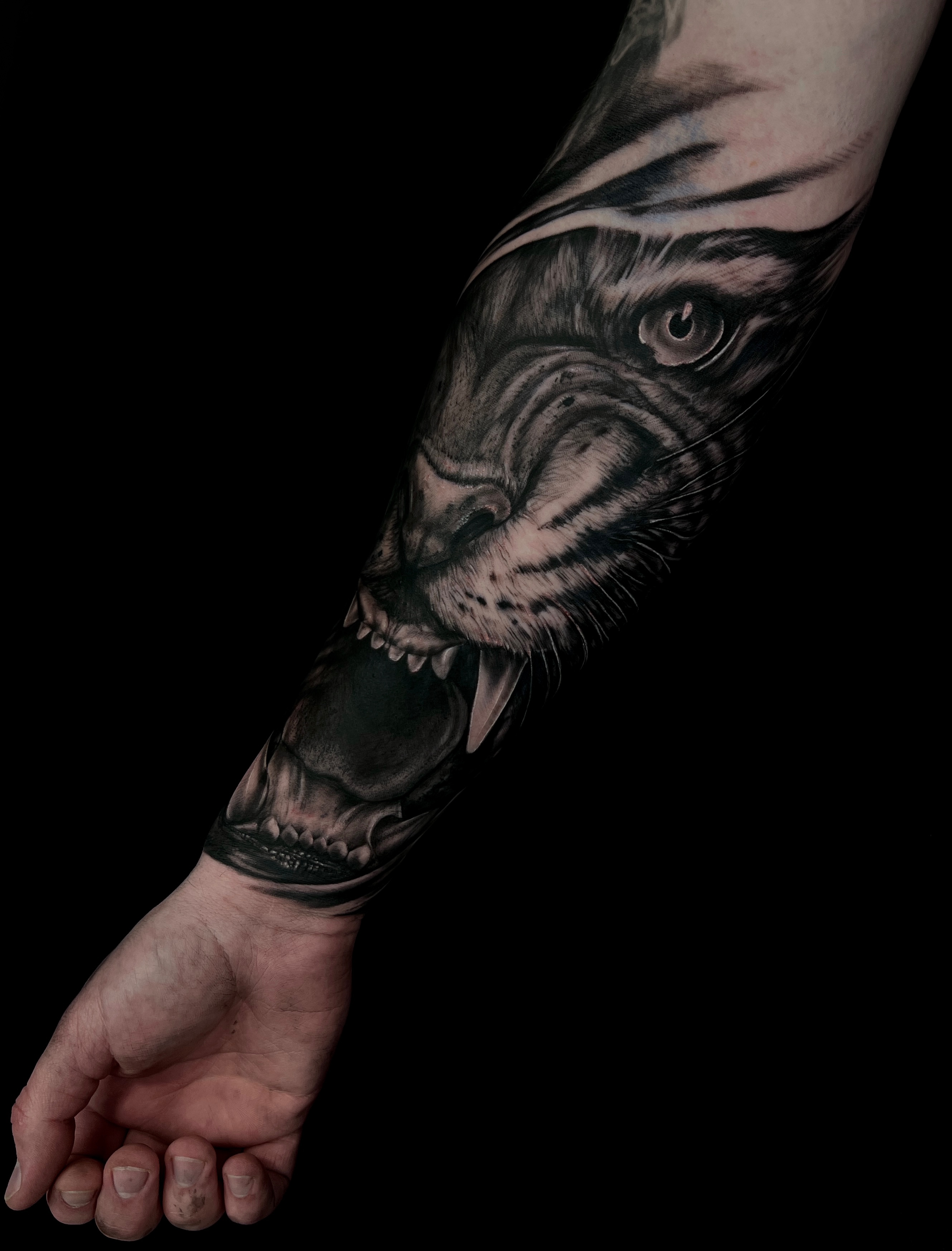  portfolio work 5