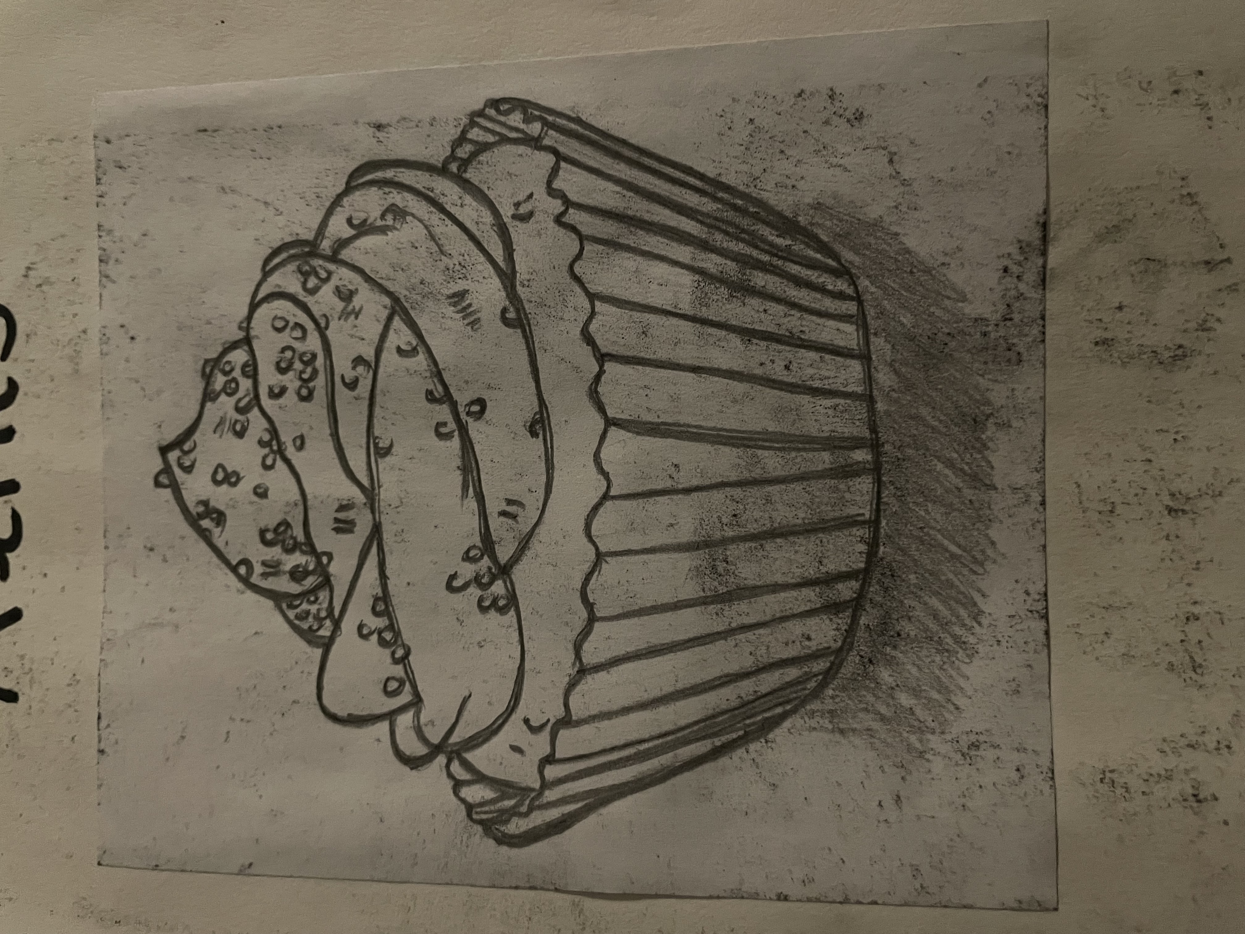 Hannah Tonkin  portfolio work 1