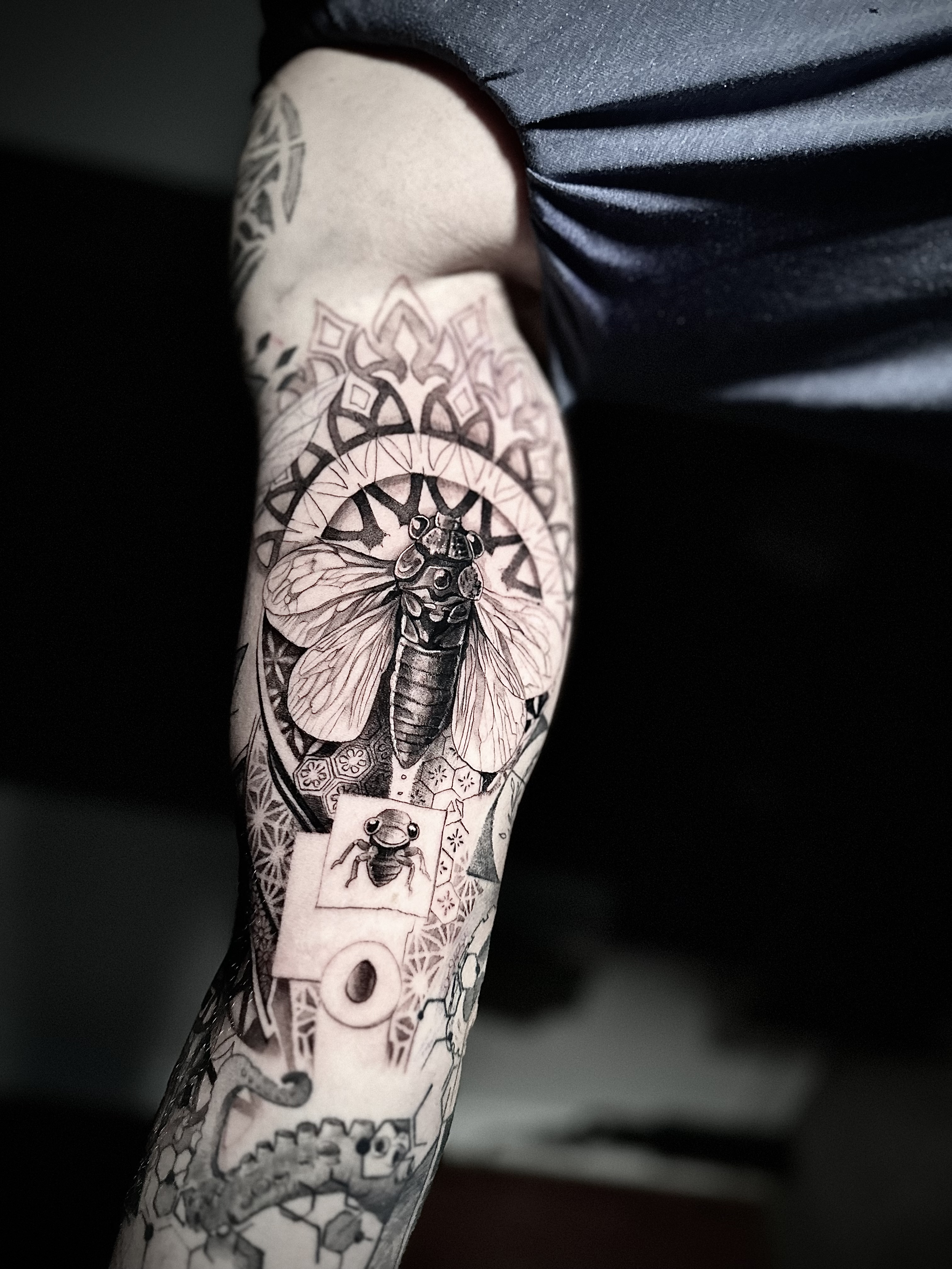  portfolio work 3