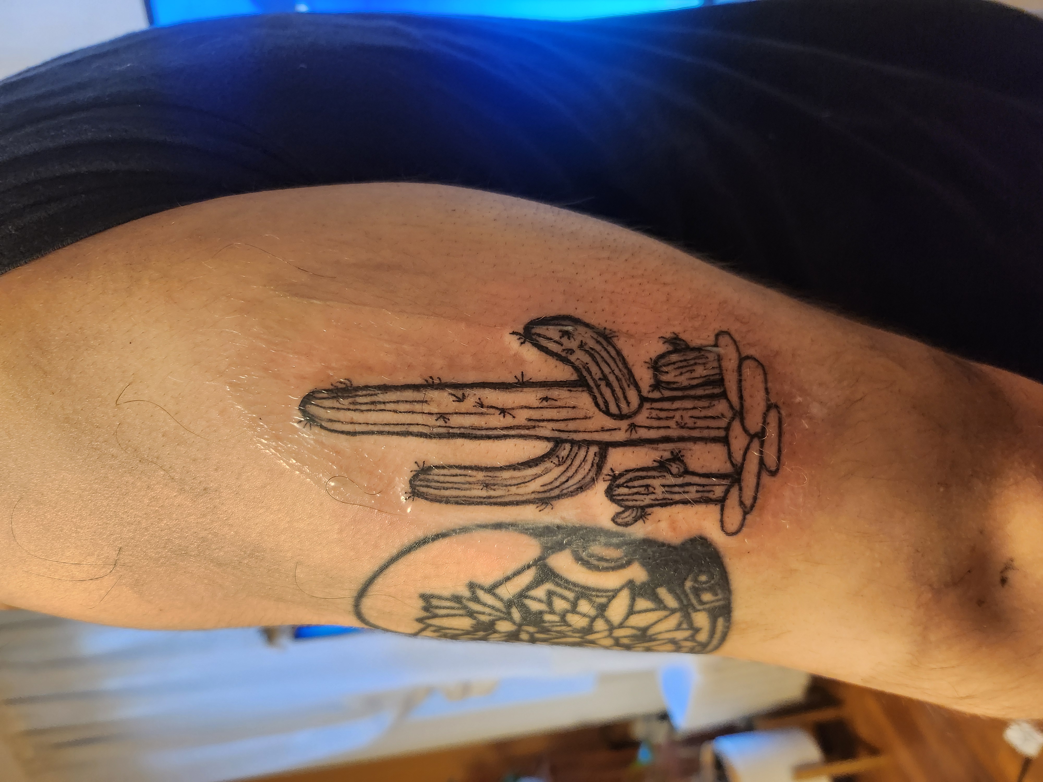 Kelly Aigner portfolio work 3