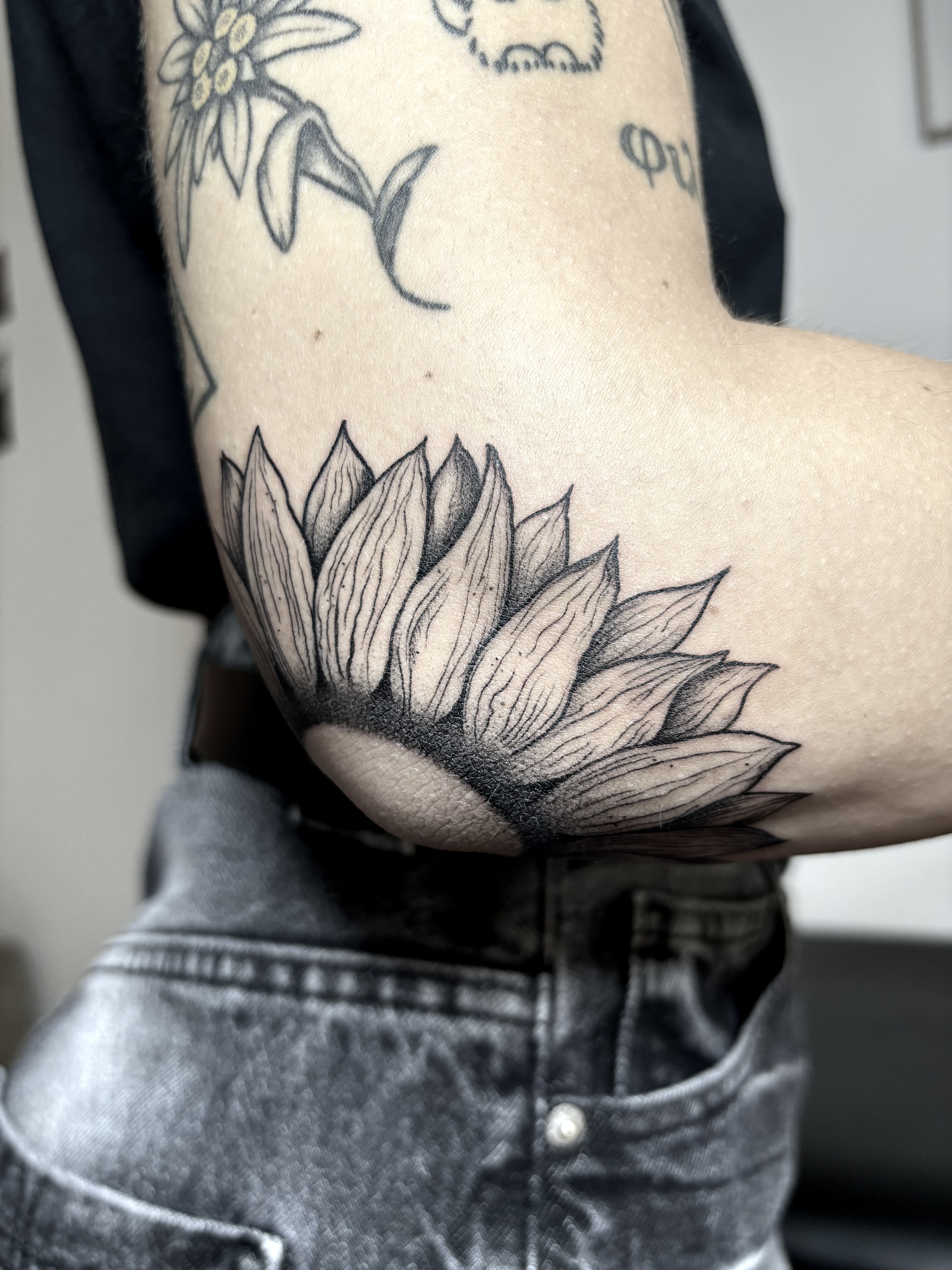  portfolio work 3