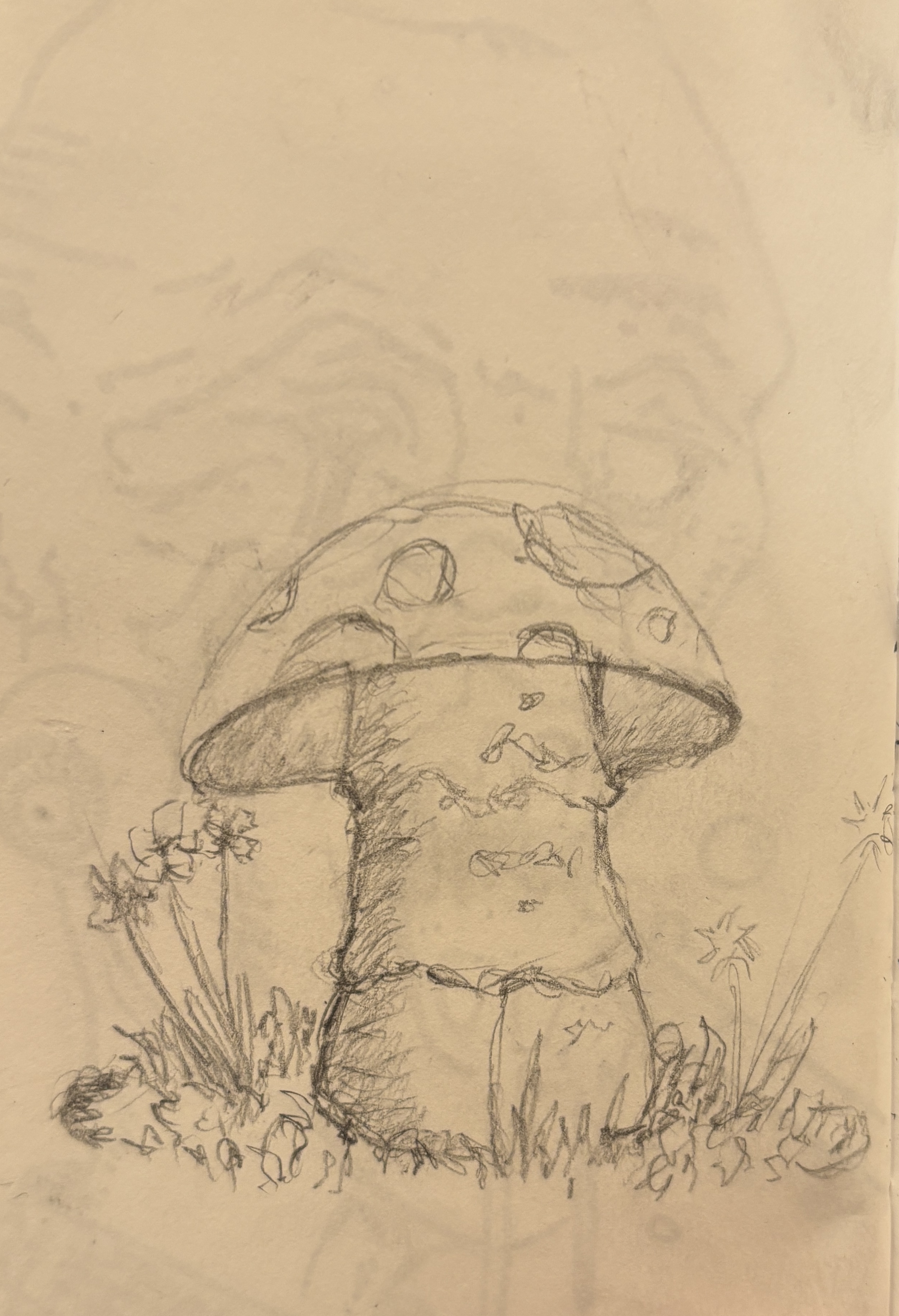  portfolio work 3