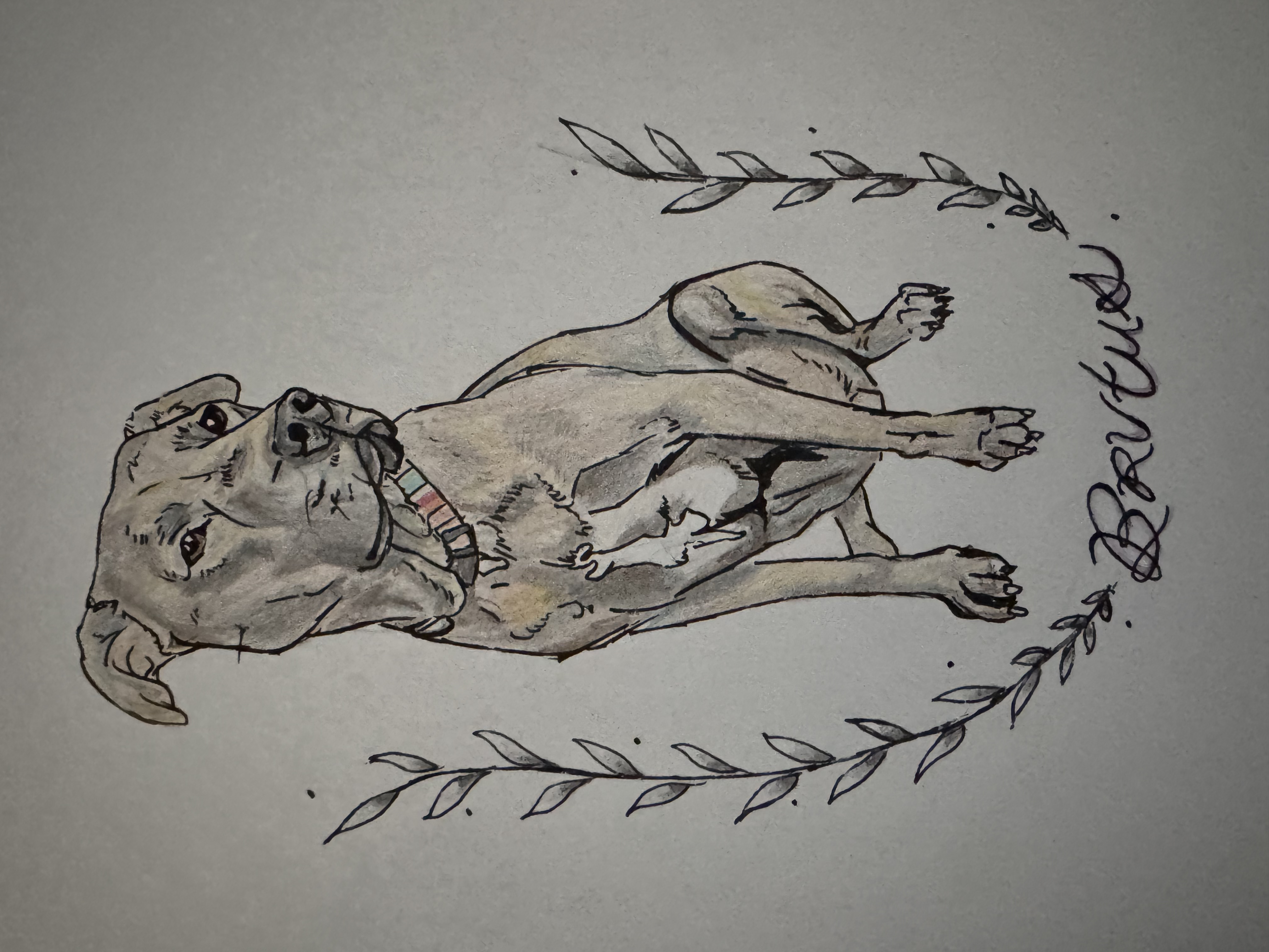  portfolio work 3