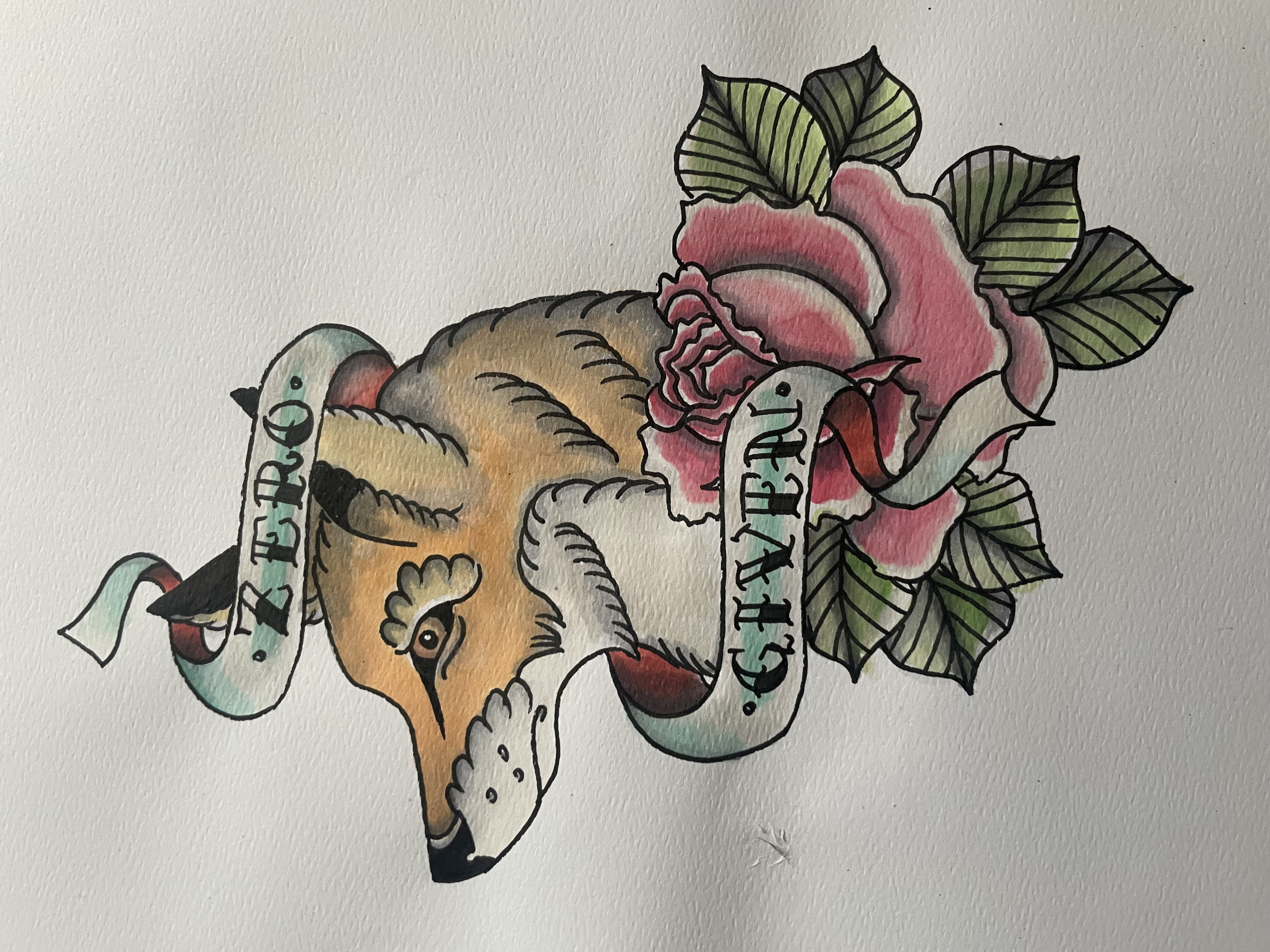  portfolio work 5