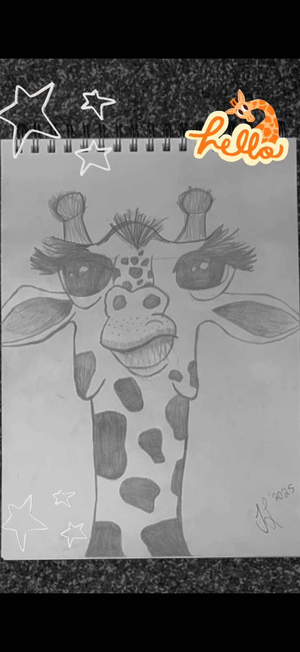  portfolio work 1