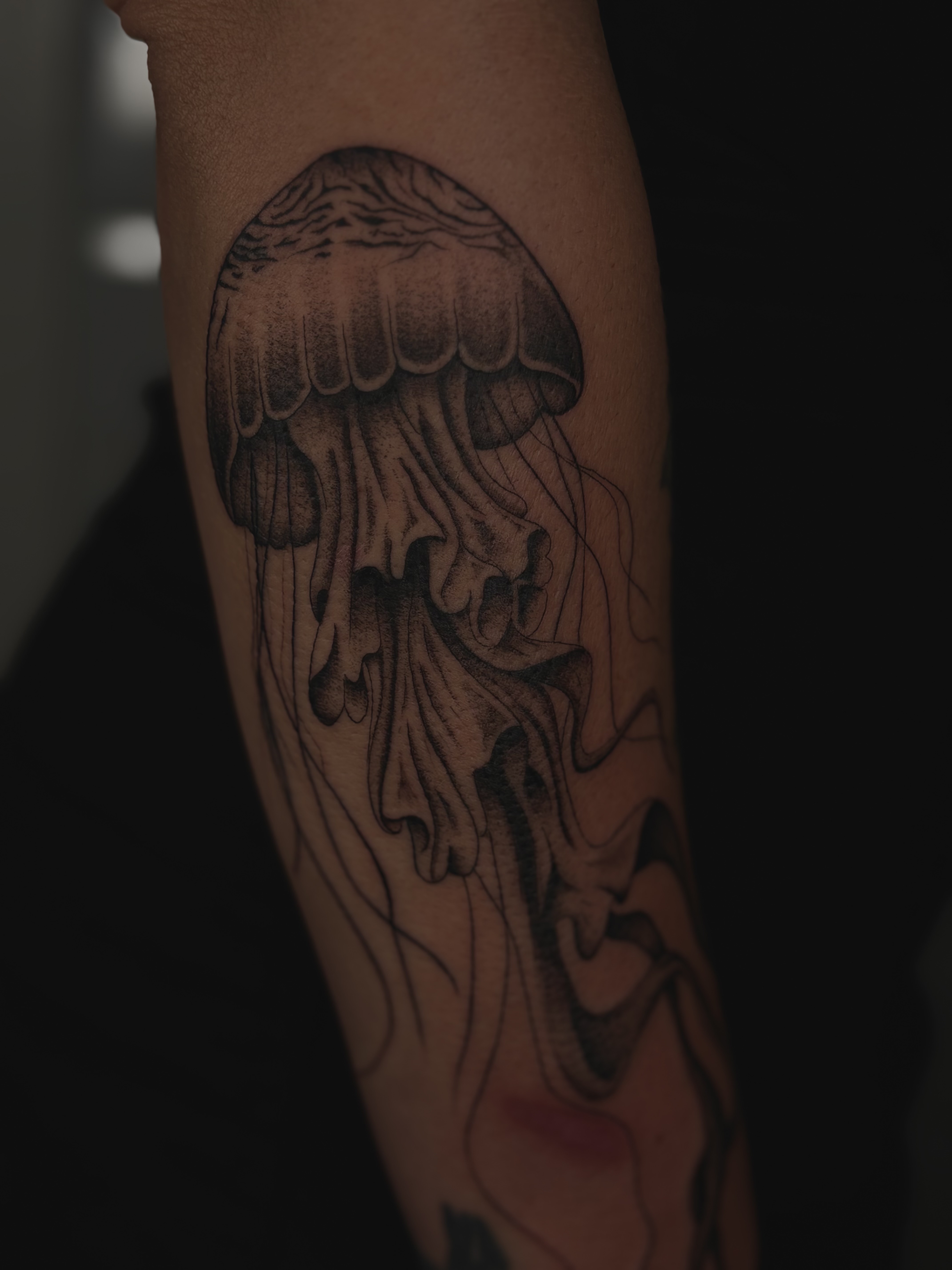  portfolio work 1