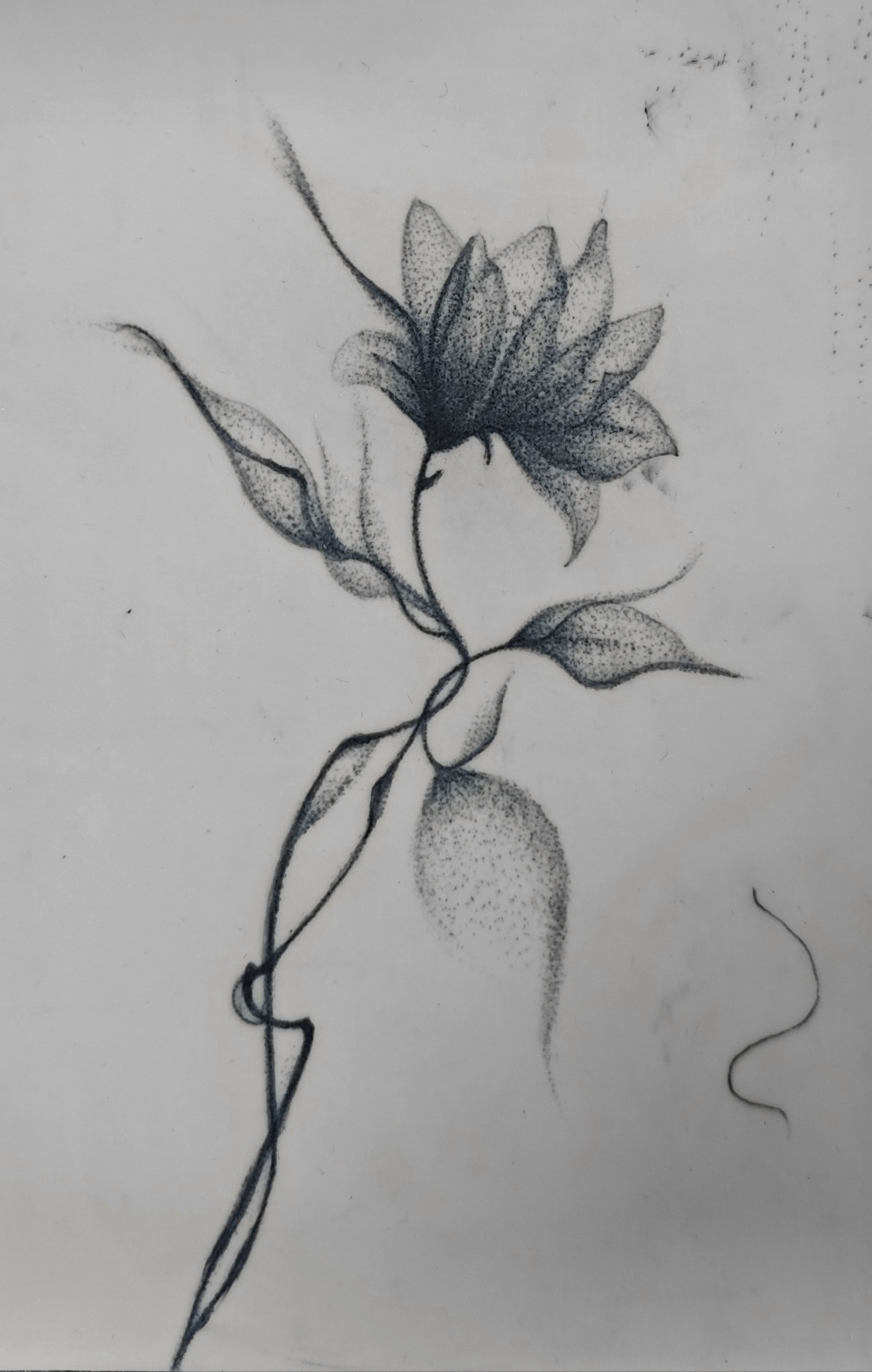 Hanna  Kaniushenka  portfolio work 2