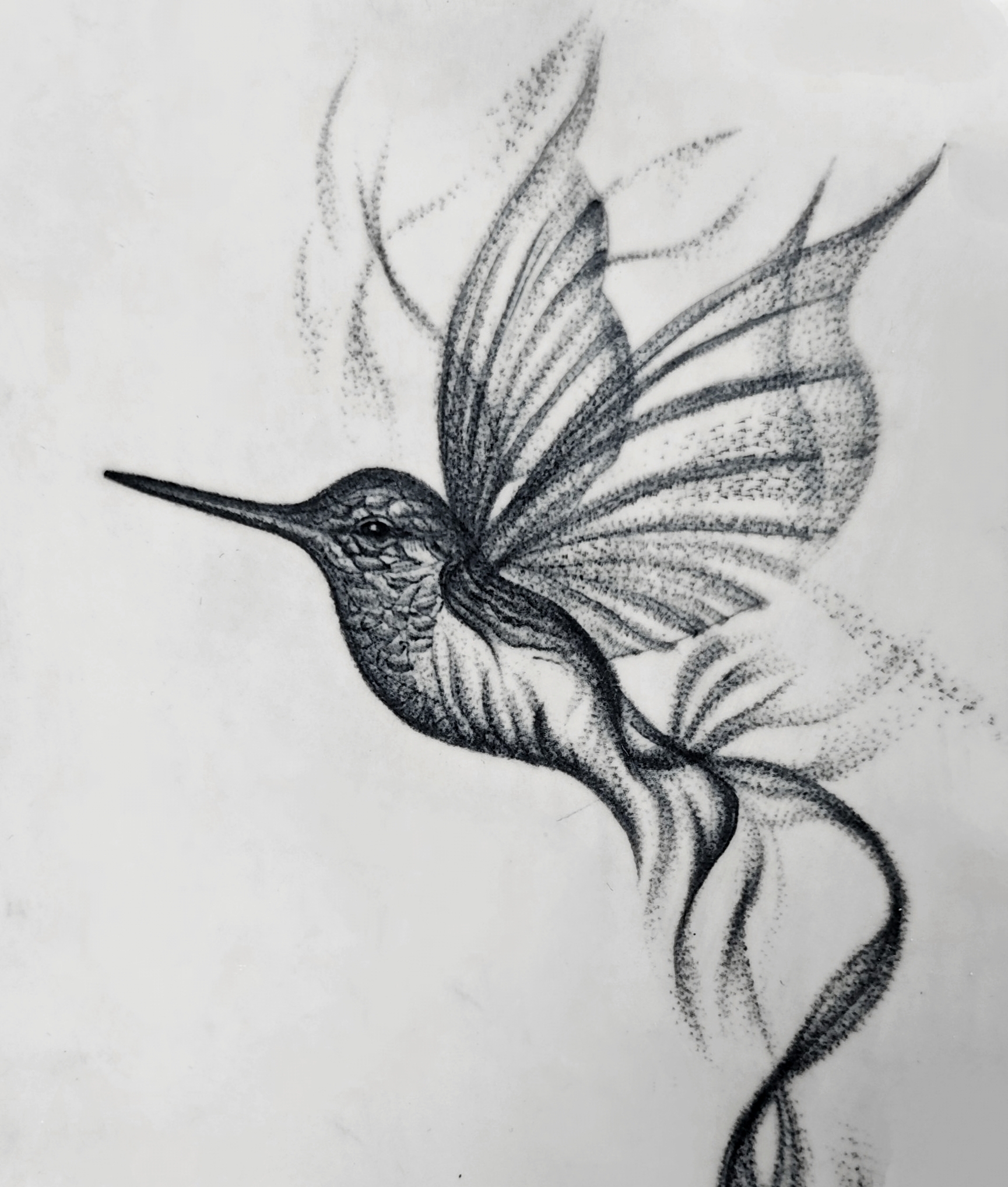 Hanna  Kaniushenka  portfolio work 3