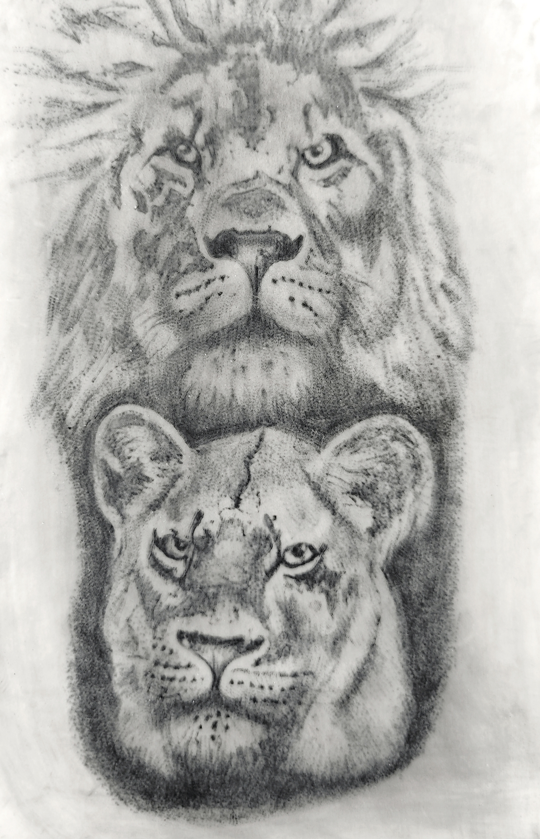 Hanna  Kaniushenka  portfolio work 4