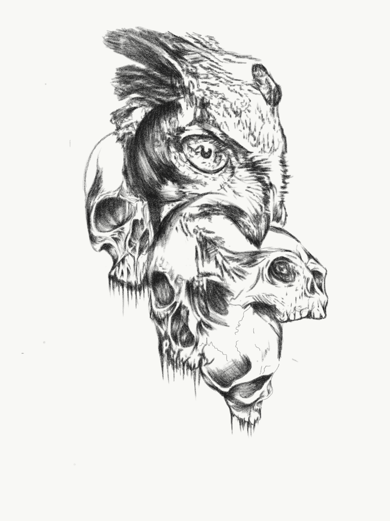 Julio Cesar portfolio work 4
