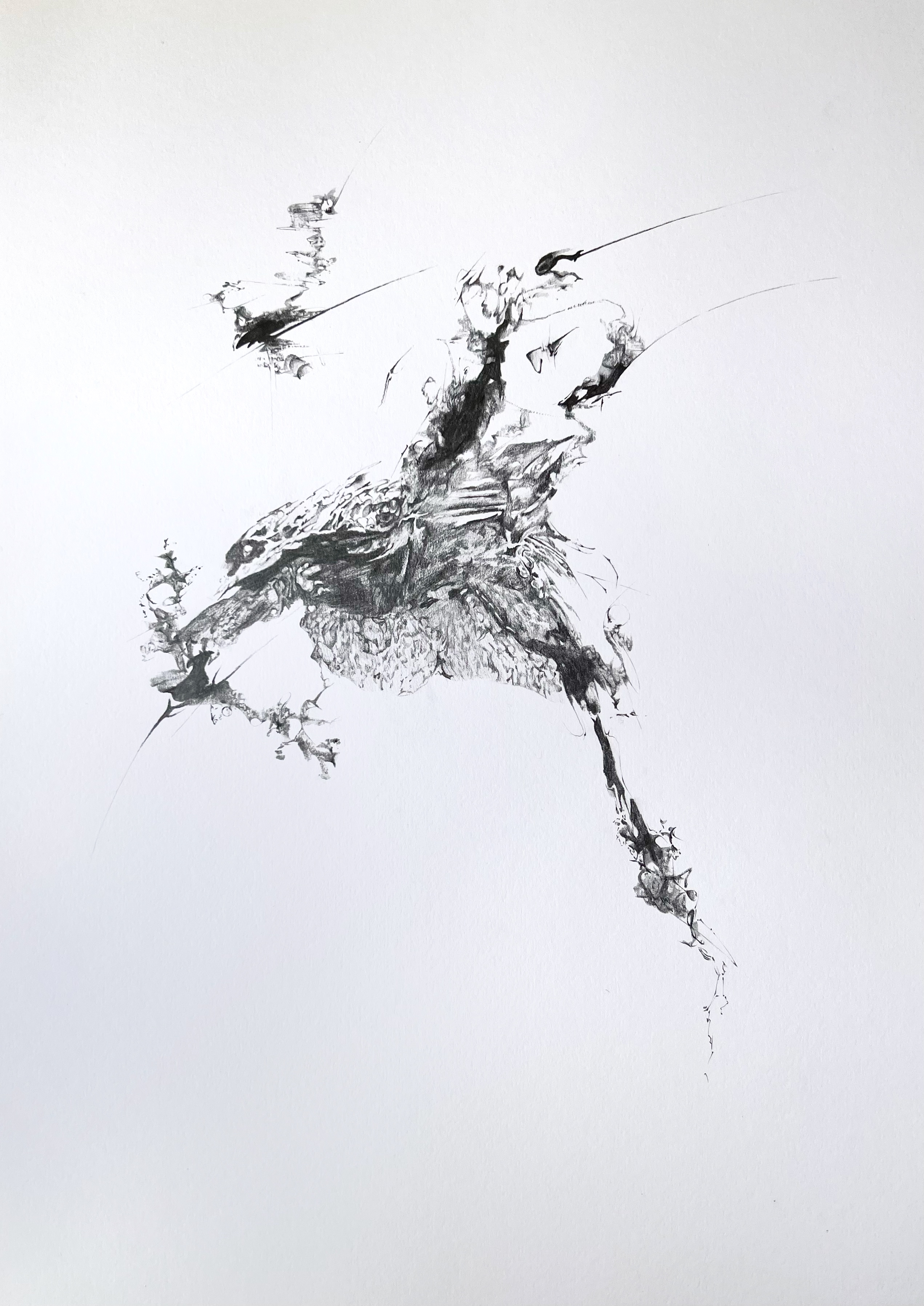 tay newton portfolio work 1