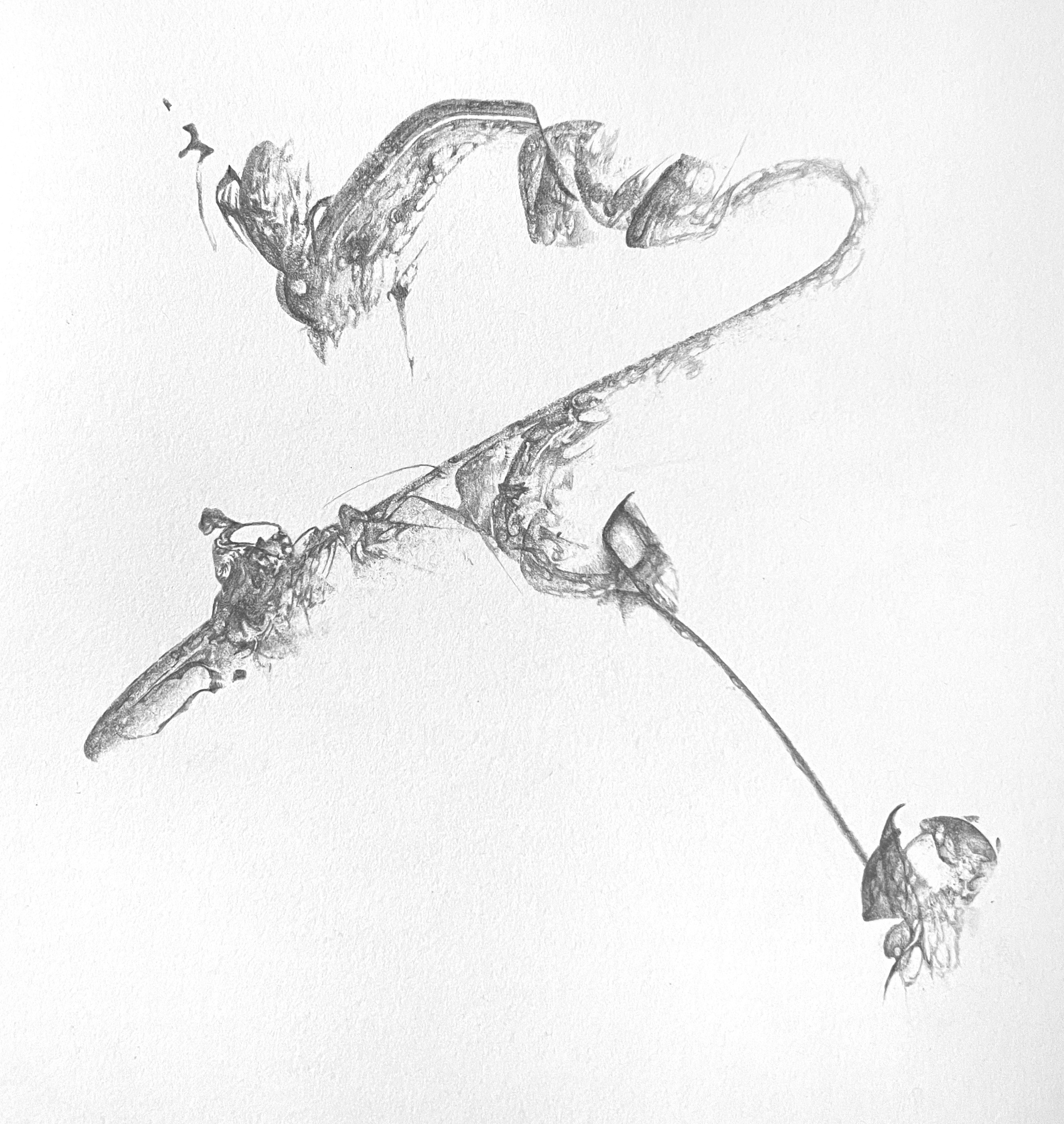 tay newton portfolio work 3