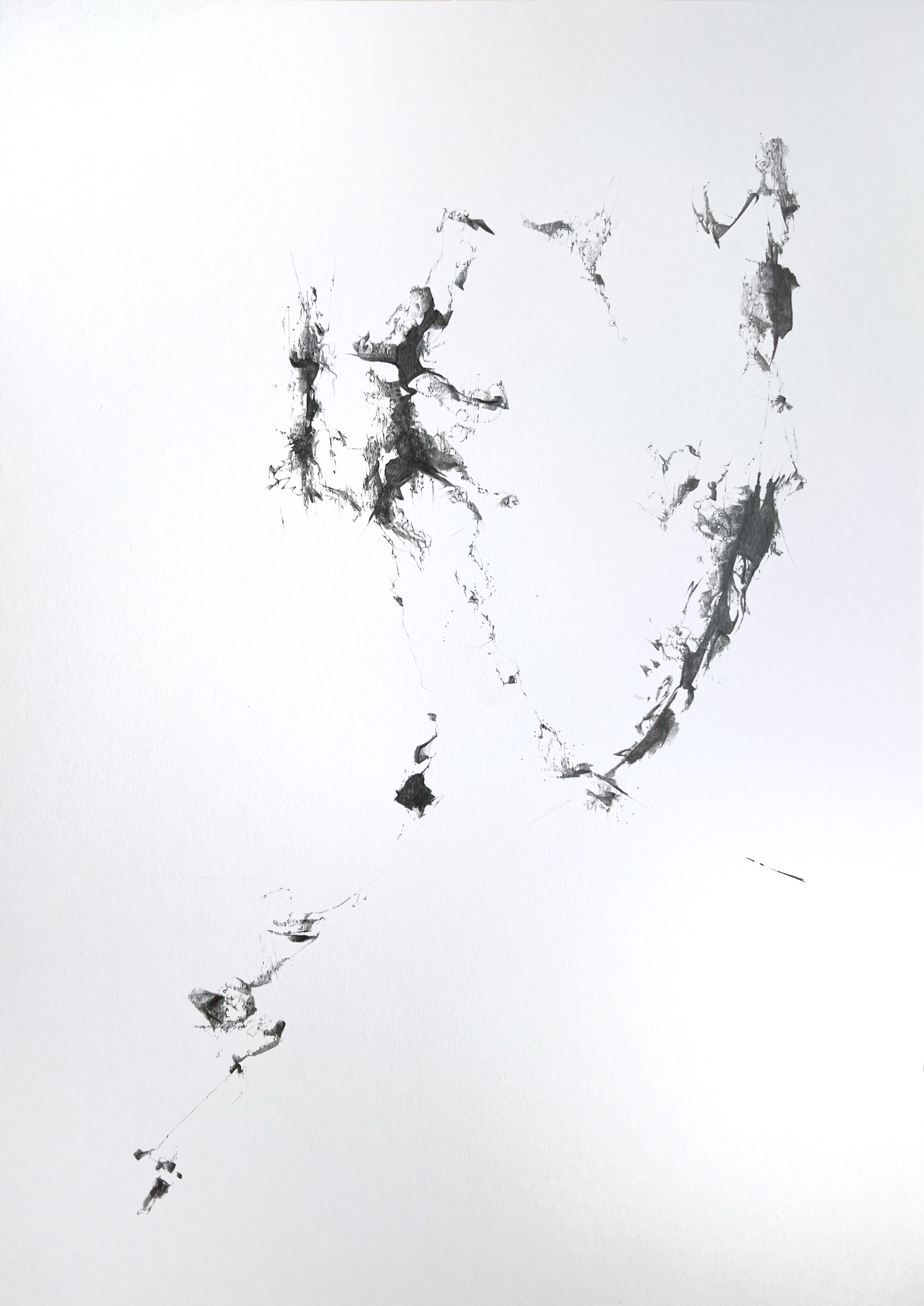 tay newton portfolio work 4